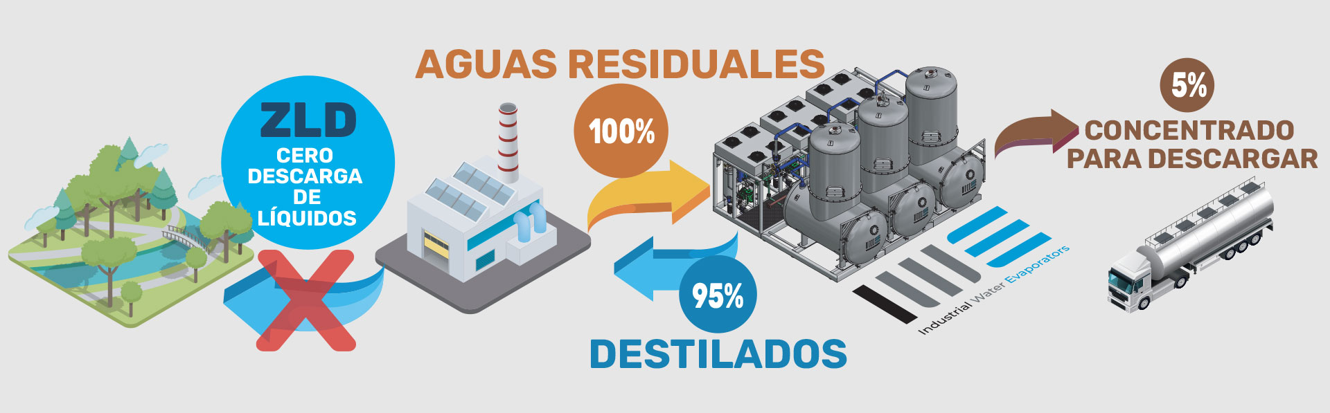 IWE Esquema Proceso