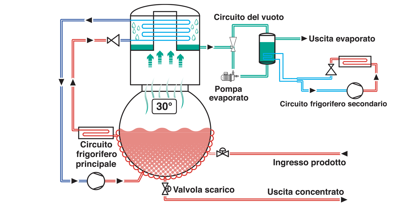 Processo
