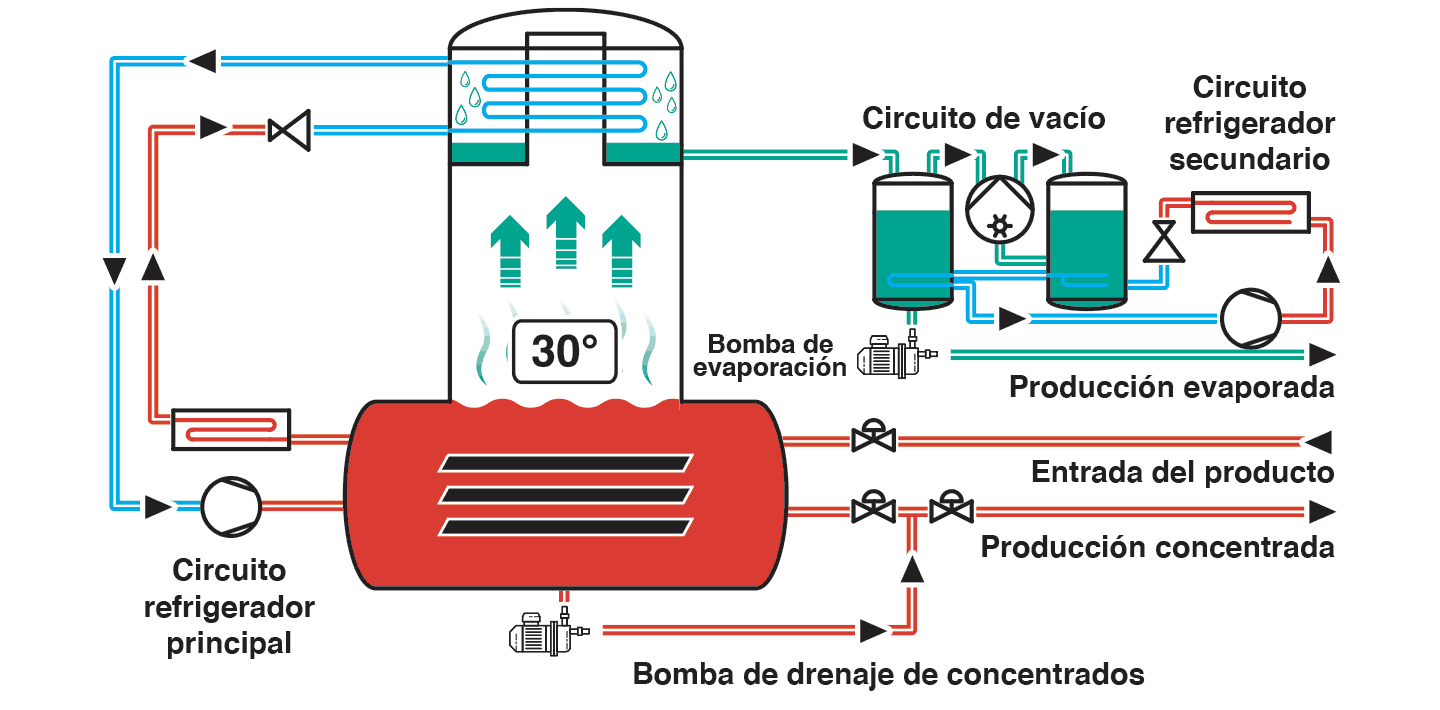 Proceso