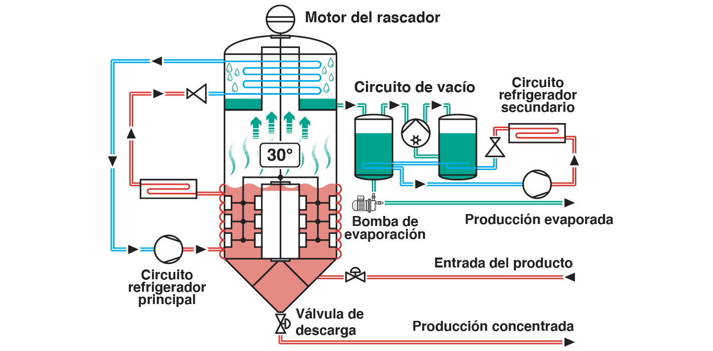 Proceso
