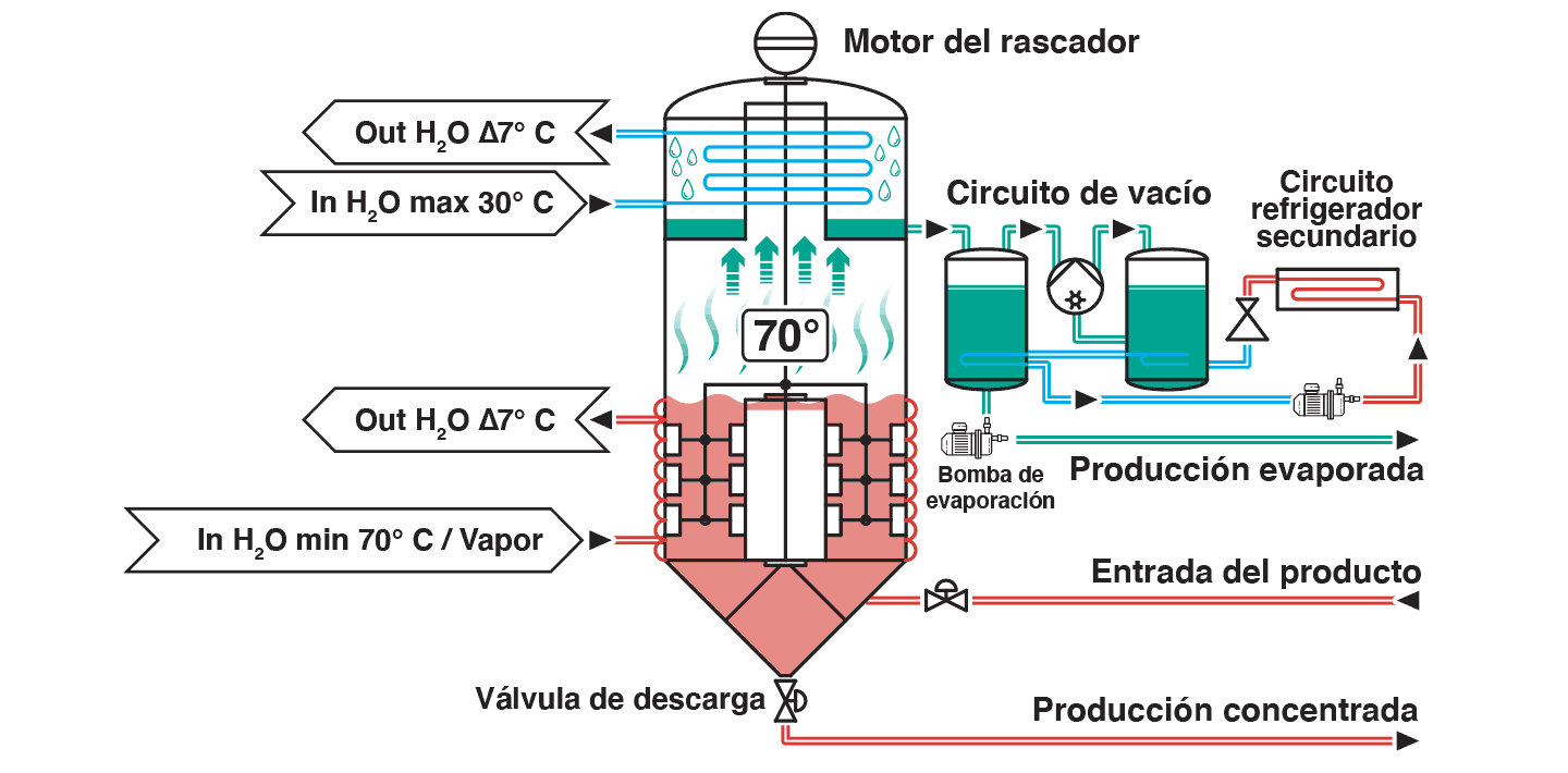 Proceso