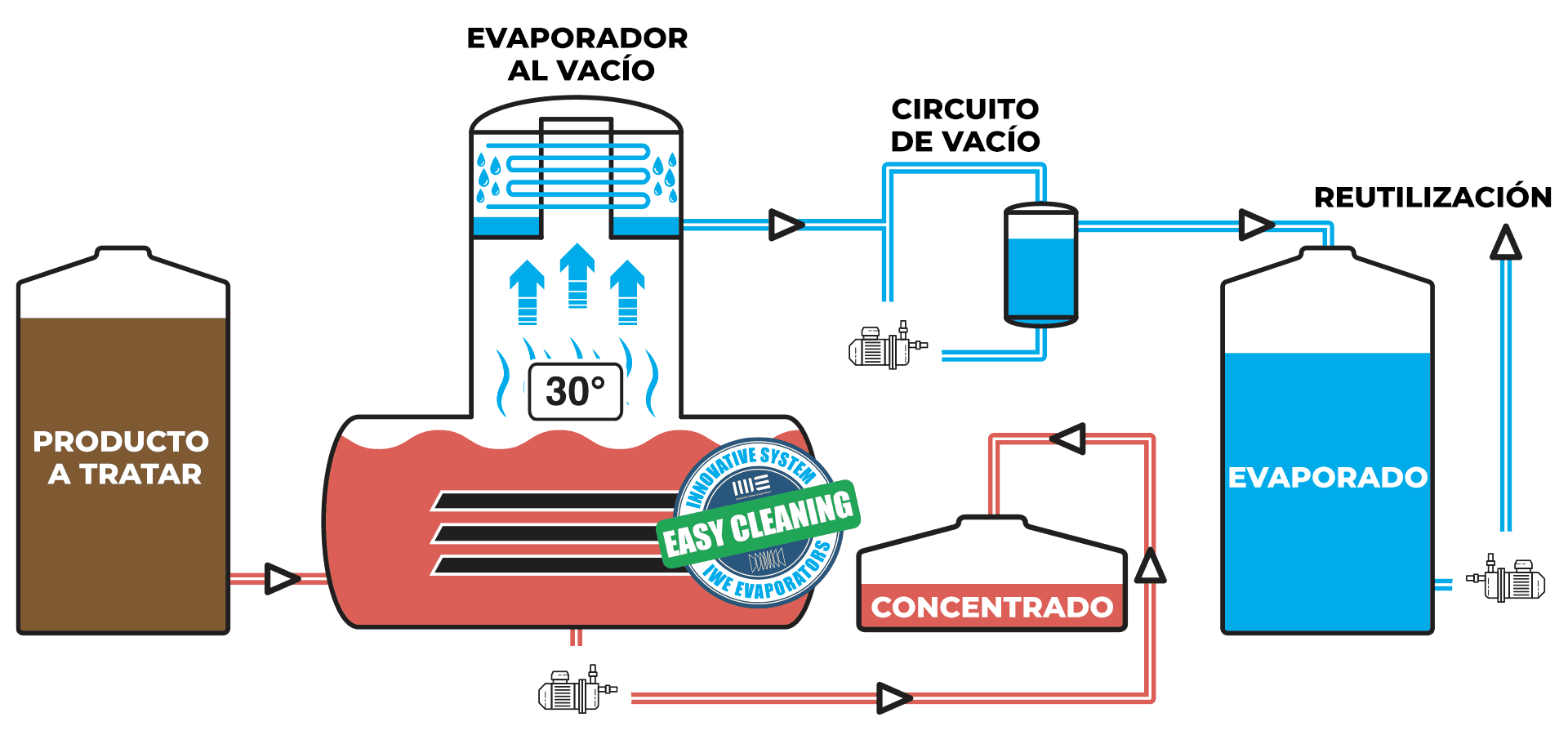 IWE Proceso